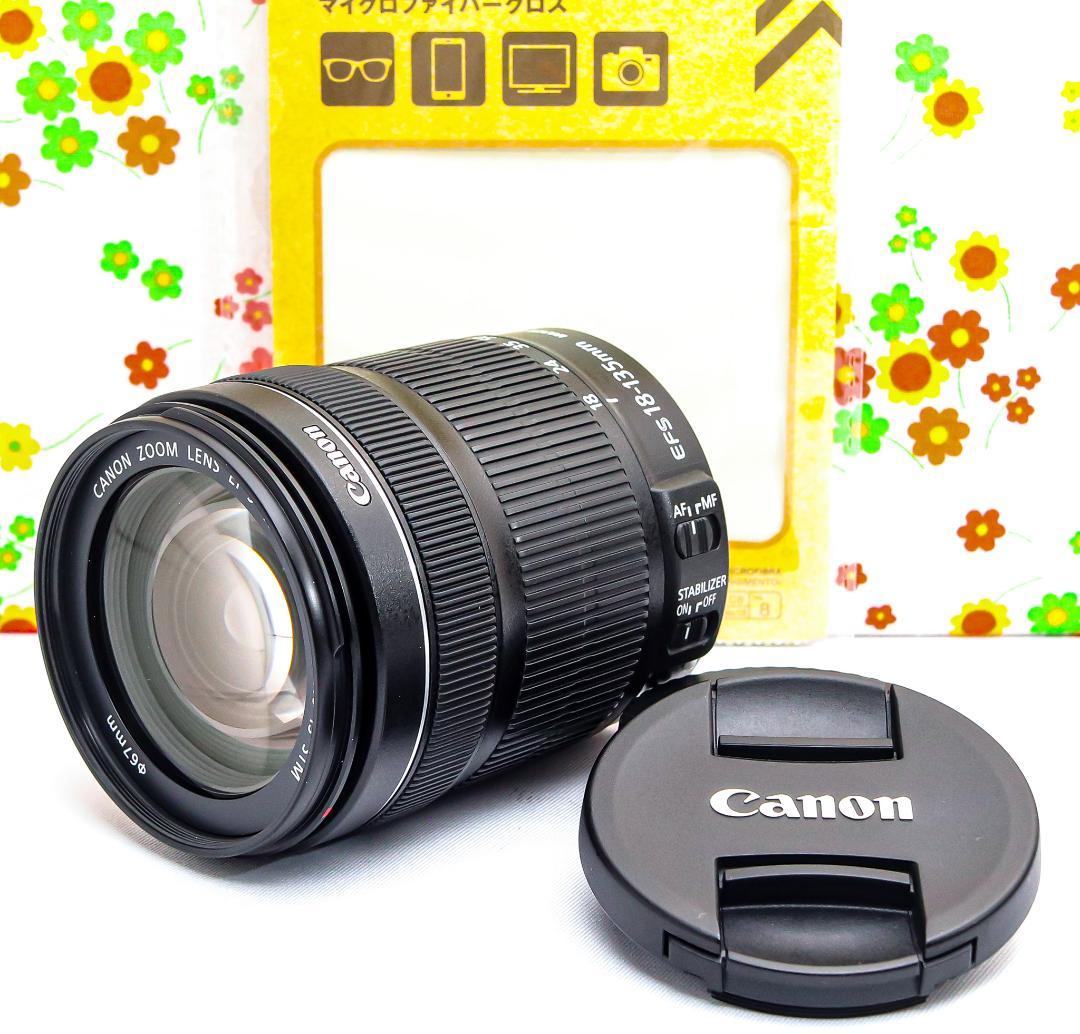 美品 Canon EF-S 18-135mm STM☆高性能・高倍率レンズ