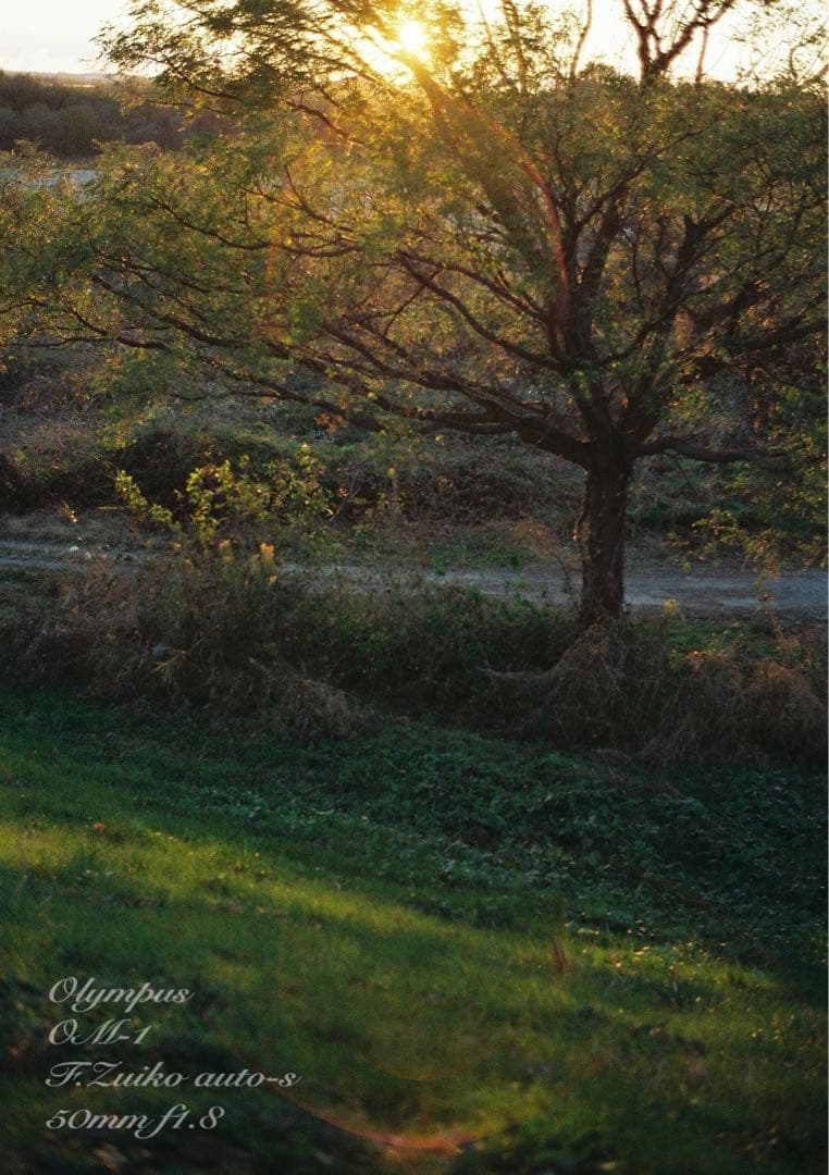 ★完動品＊美品＊初期保証★OM-1 ★グリーンリザード外装★作例必見！