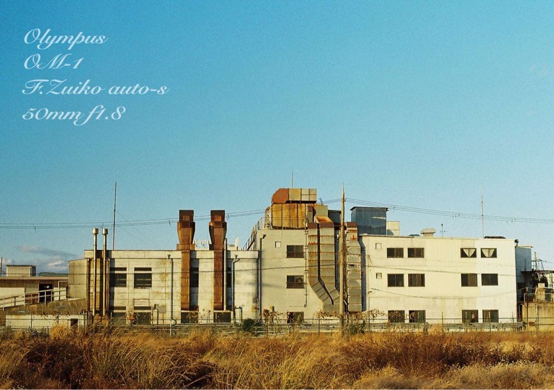 ★完動品＊美品＊初期保証★OM-1 ★グリーンリザード外装★作例必見！