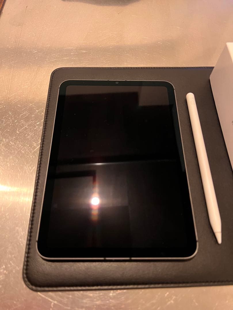 iPad mini スペースグレー 256GB+ Apple Pencil