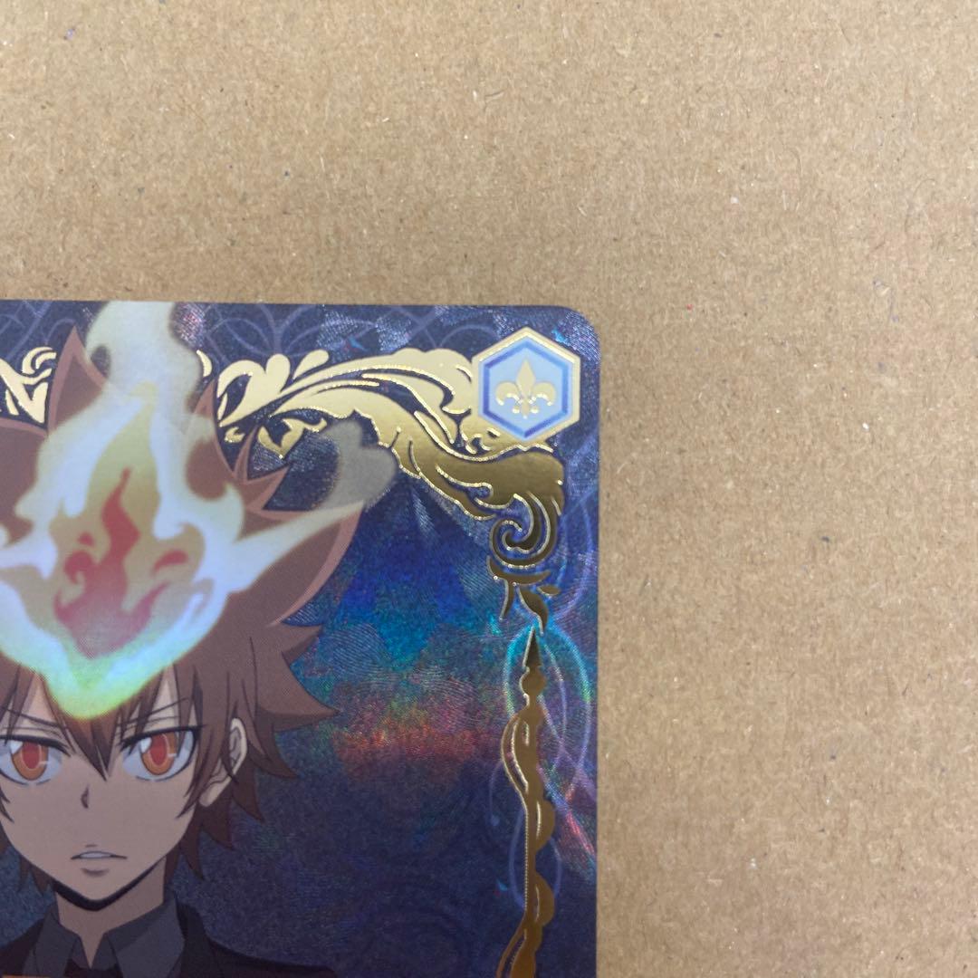 ヴァイスシュヴァルツブラウ SSP ツナ