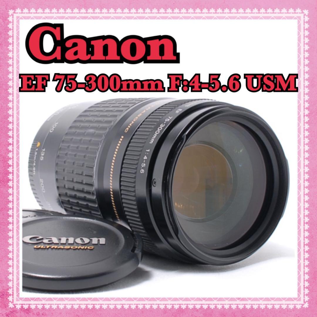 人気の超望遠レンズ♫Canon EF 75-300㎜★デジタル一眼レフカメラ