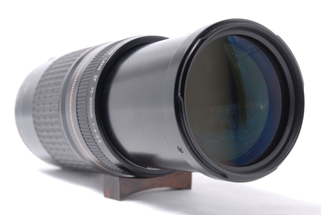 人気の超望遠レンズ♫Canon EF 75-300㎜★デジタル一眼レフカメラ