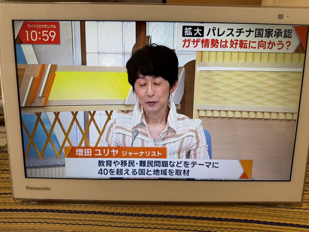 Panasonic /プライベートビエラ15インチ /お風呂テレビ/タッチパネル