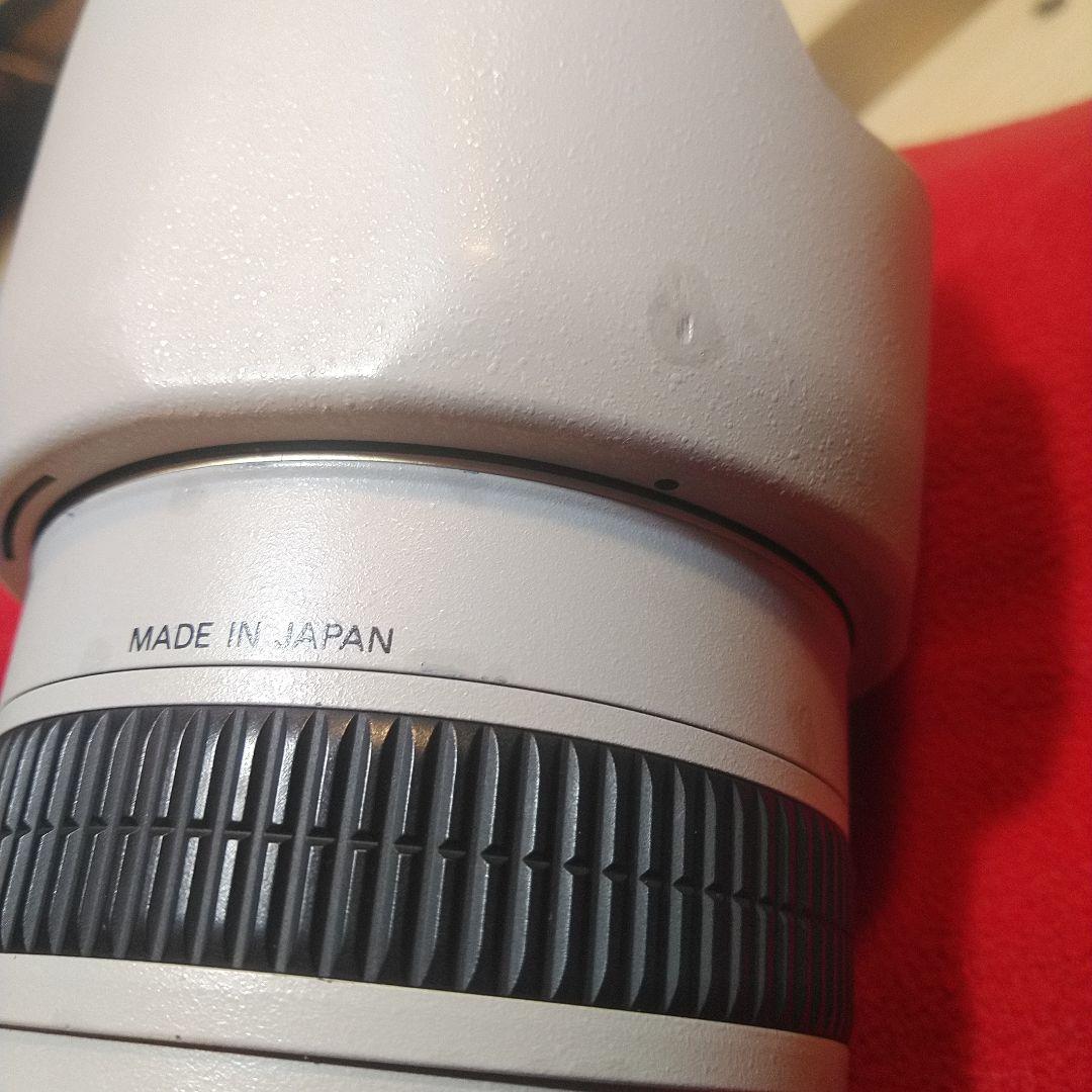 Nikon AF-S 28-70mm f/2.8G ED　ライトグレー