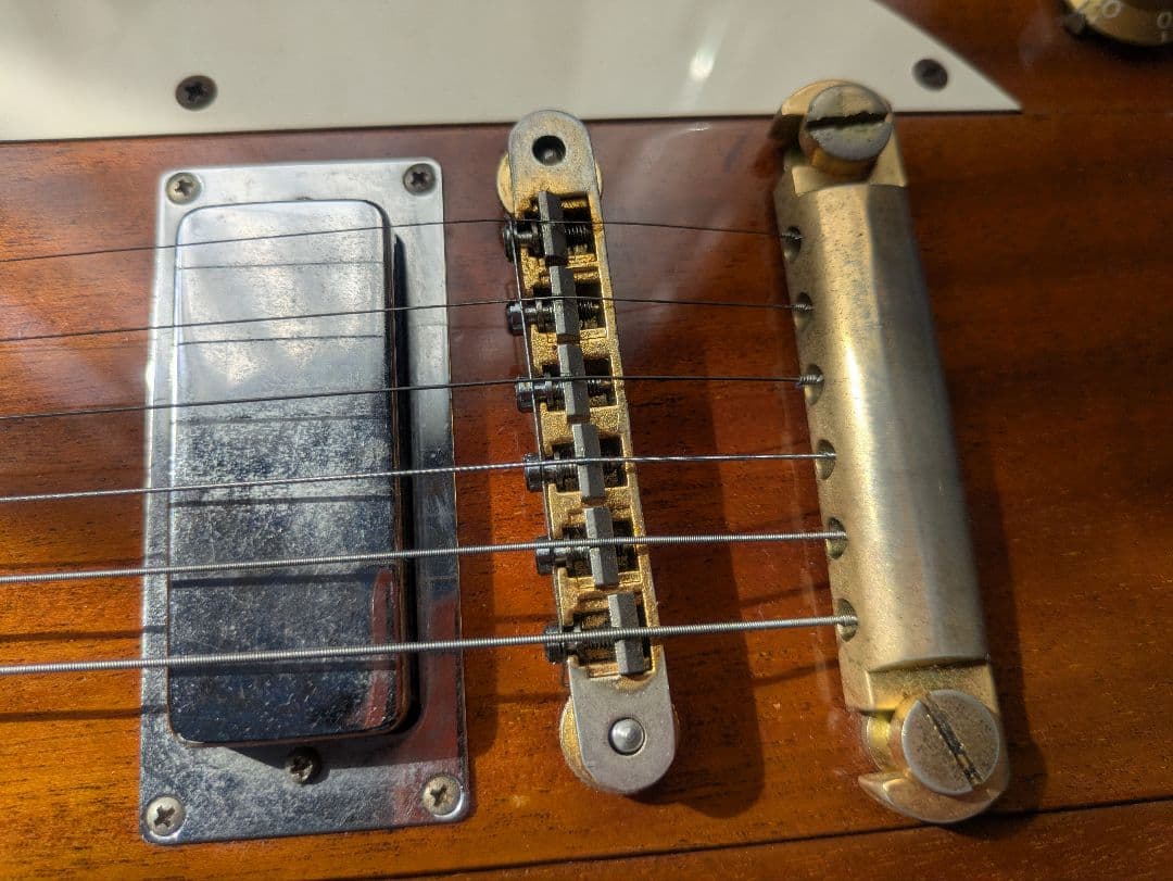 オービル・バイ・ギブソン　ファイヤーバード