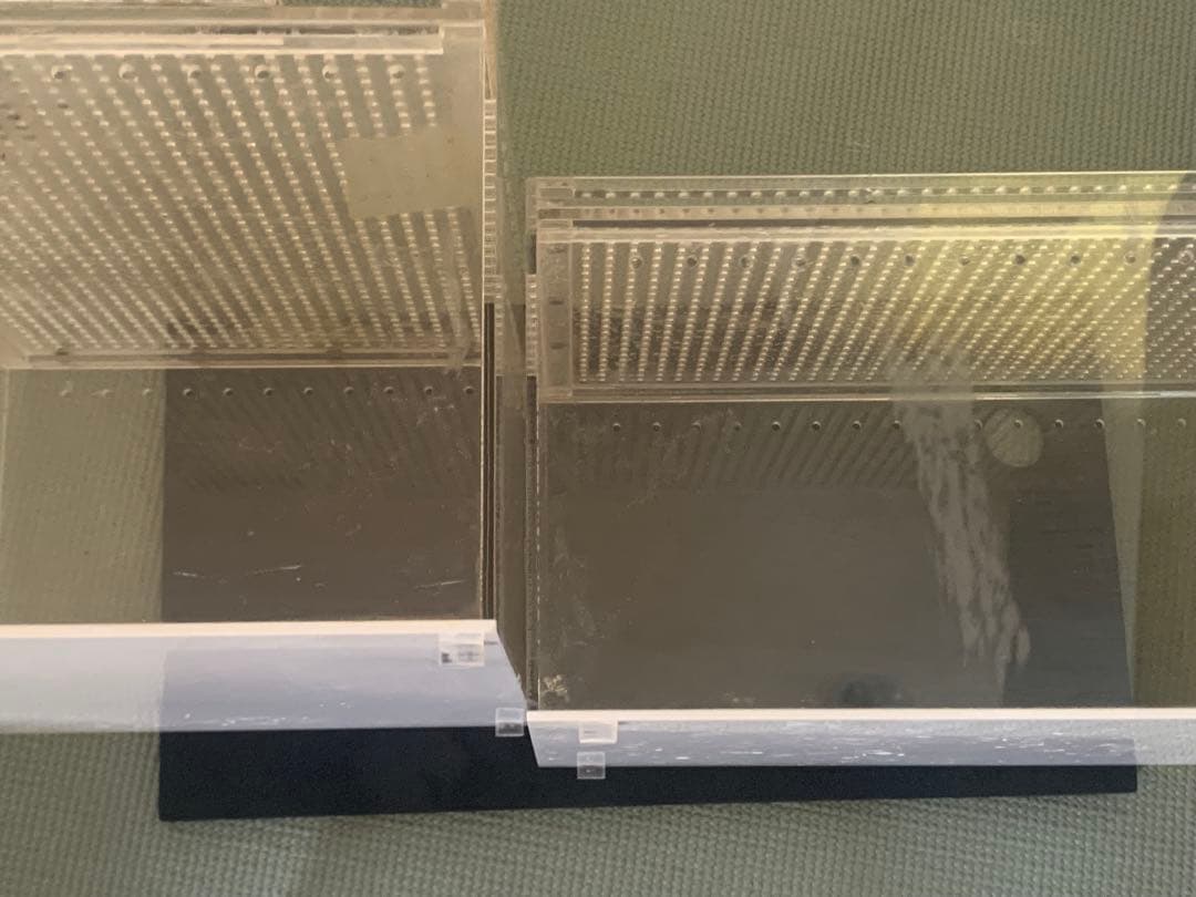 B*Y様 アクリル 多目的ケース レオパに最適‼️