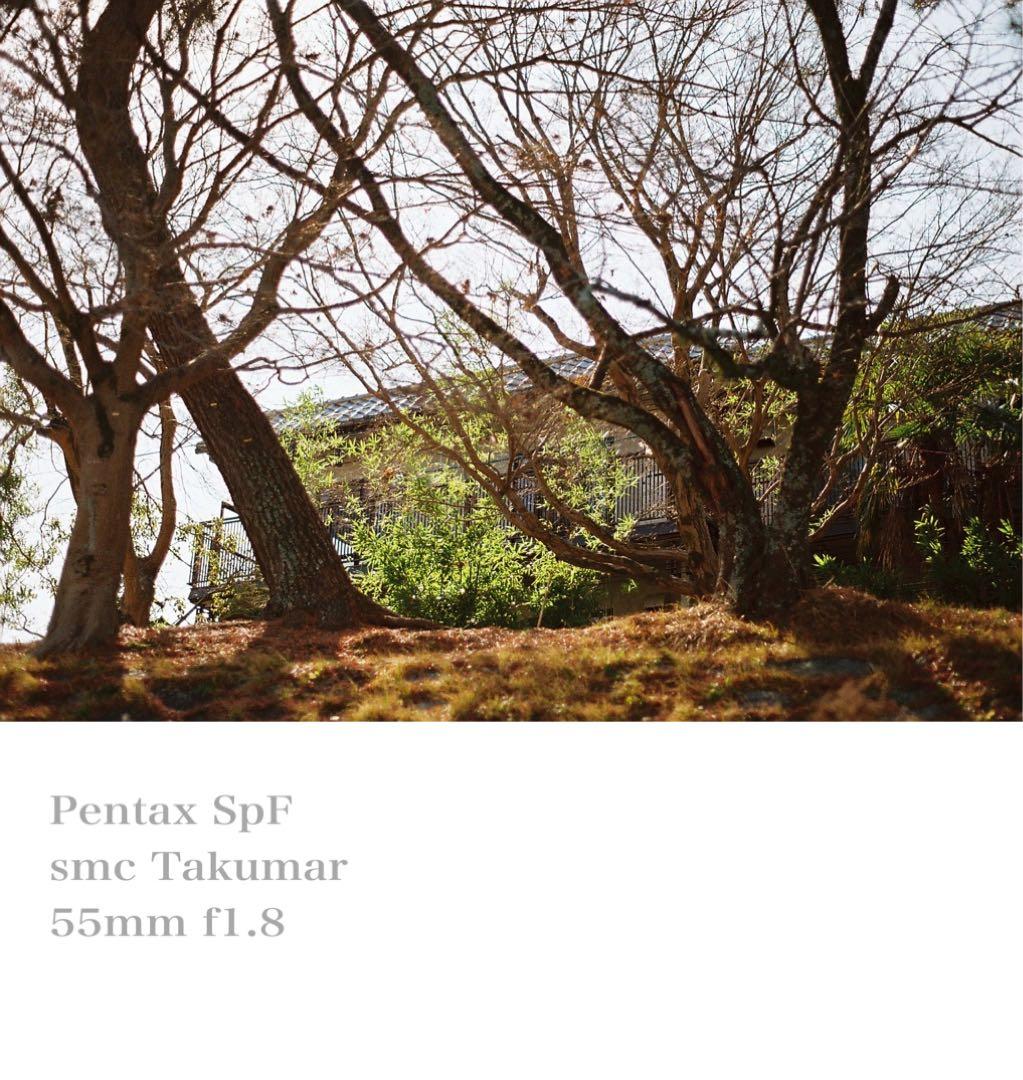 完動品＊美品＊初期保証★pentax spfレンズセット★フィルム入門★作例多数