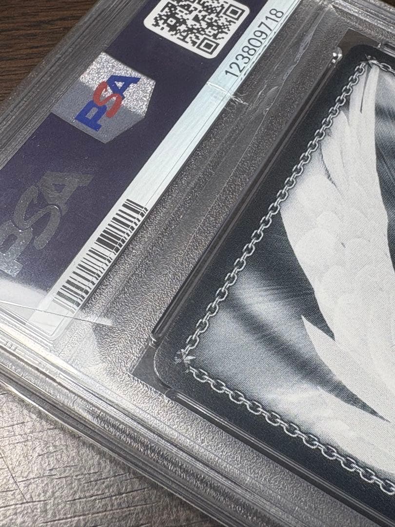 p*i様 ヴァイスシュヴァルツ お家にお邪魔します…！　猫又おかゆ　ssp ps