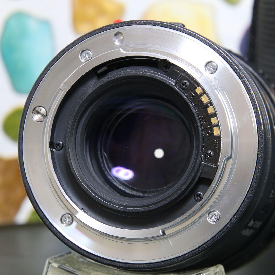 ♥︎中望遠マクロレンズ ◇収納ポーチ ◇TAMRON 90ｍｍ F2.8 Sony