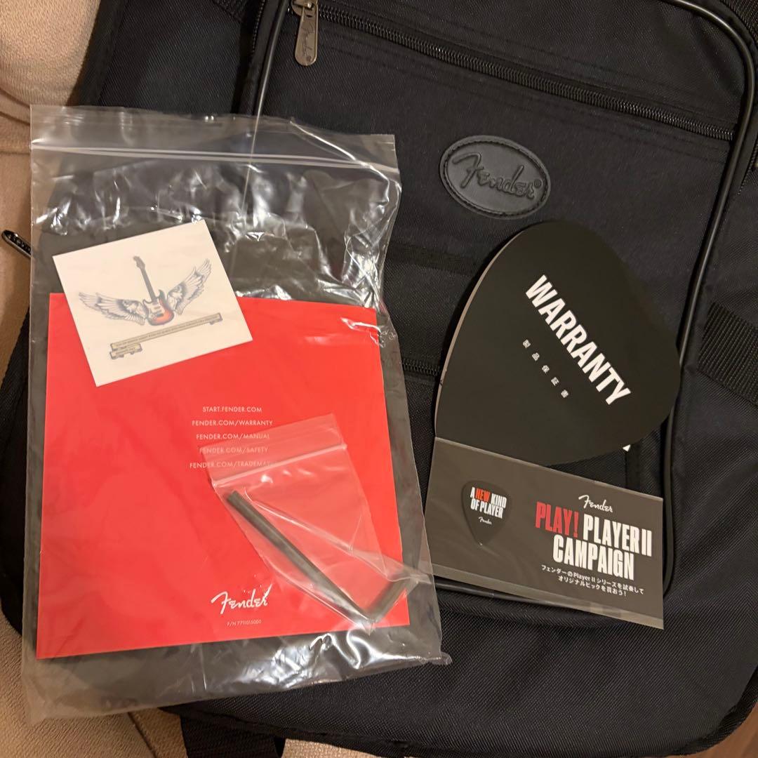 はるFENDER Thinline Kusumi Telecaster