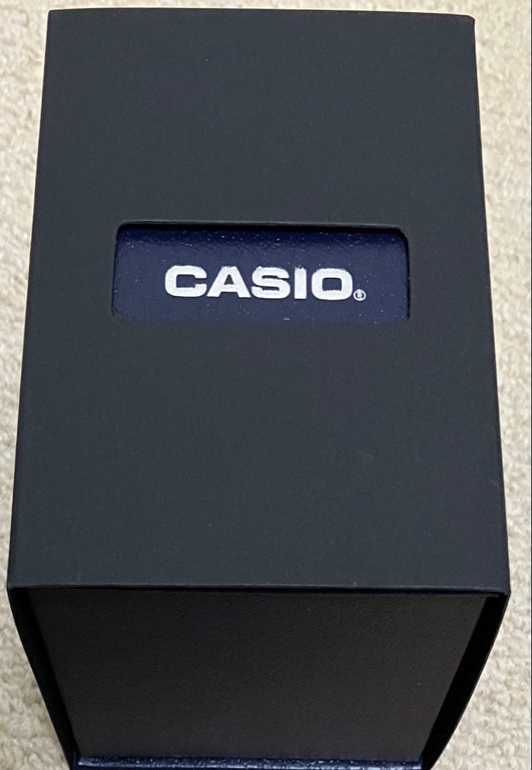 国内正規品 新品箱付 CASIO AQ-240E-3AJF AQ240