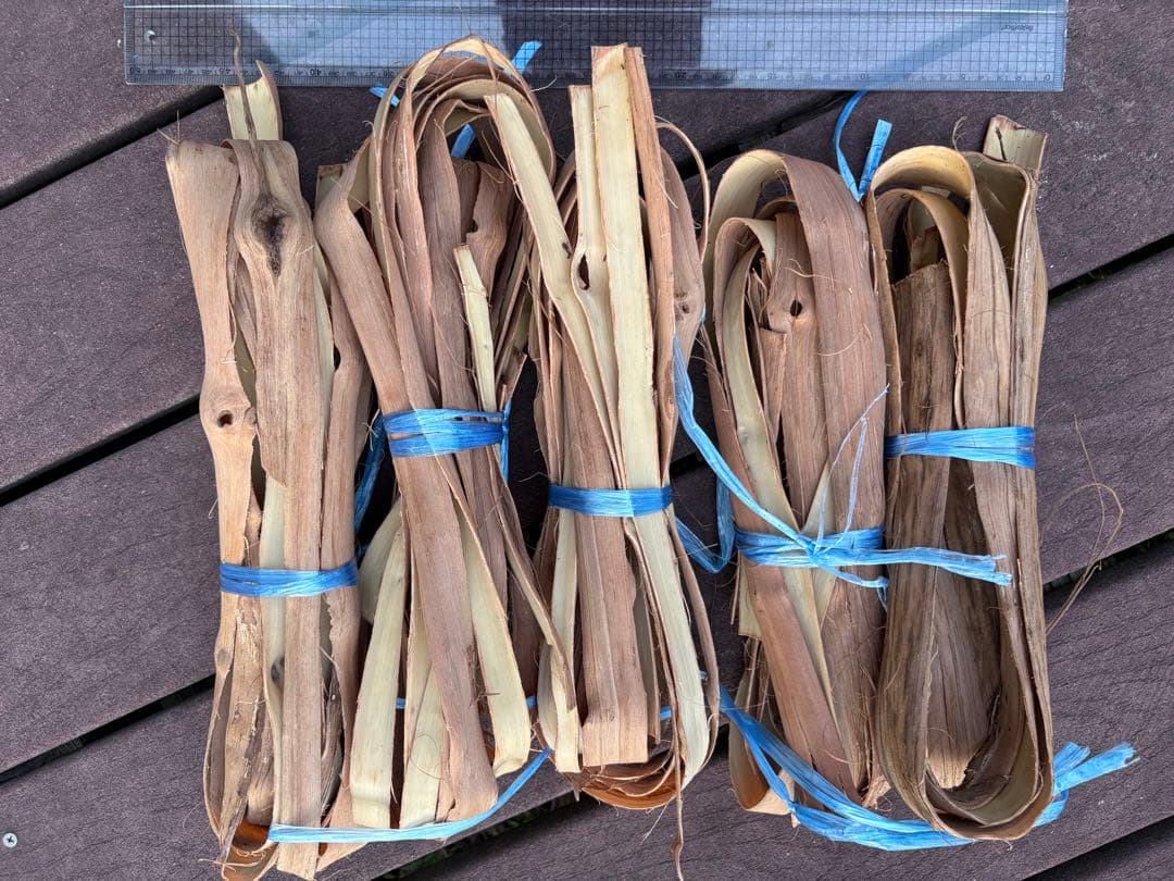 岩手県産山葡萄　樹皮　S級　②