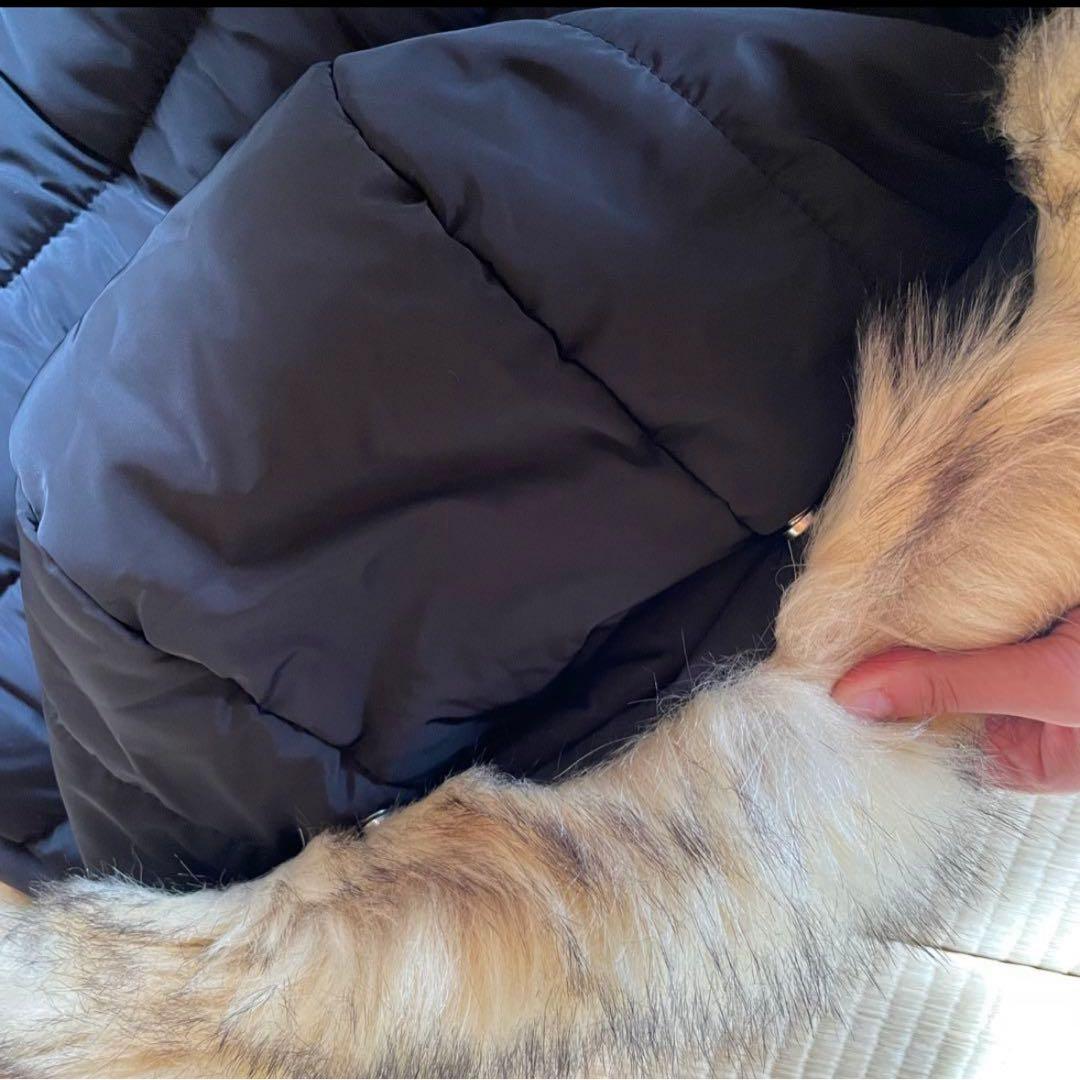 ZARA 大人気　ブラック ファー付きダウンジャケット