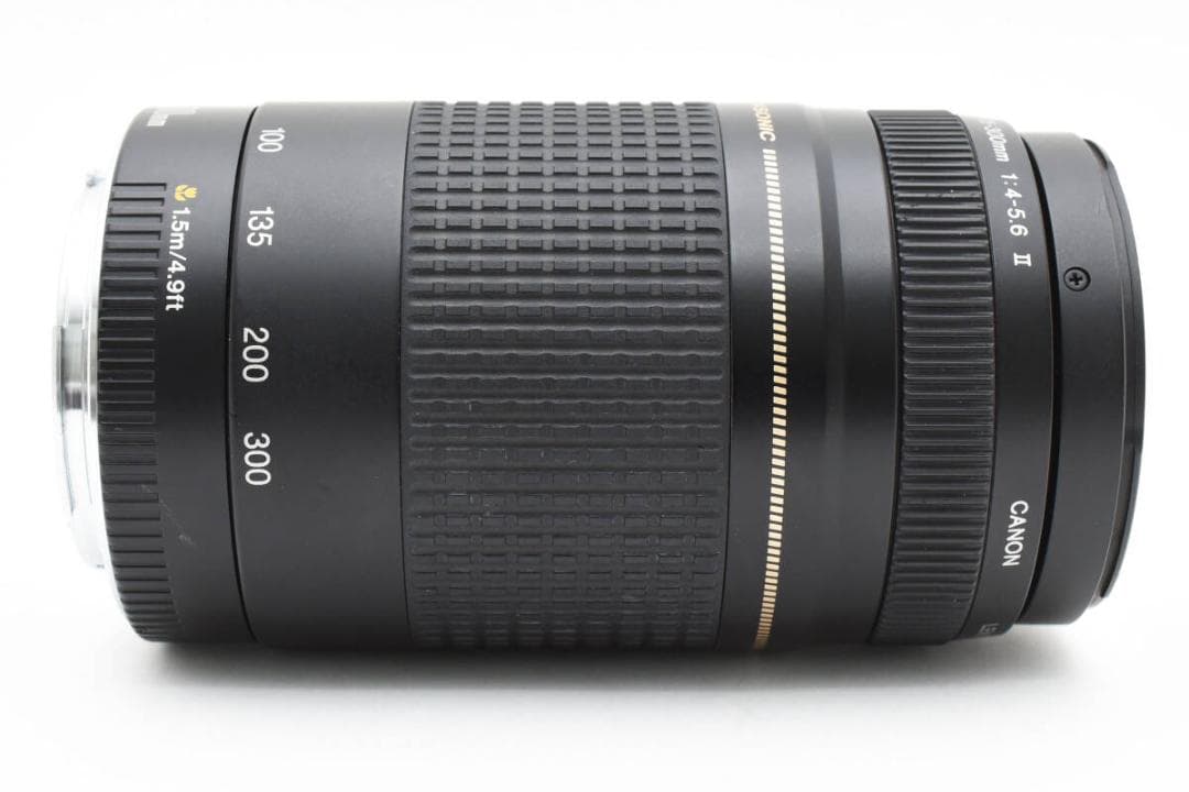 レンズ(ズーム) Canon EF 75-300mm f4-5.6 II USM AA2964