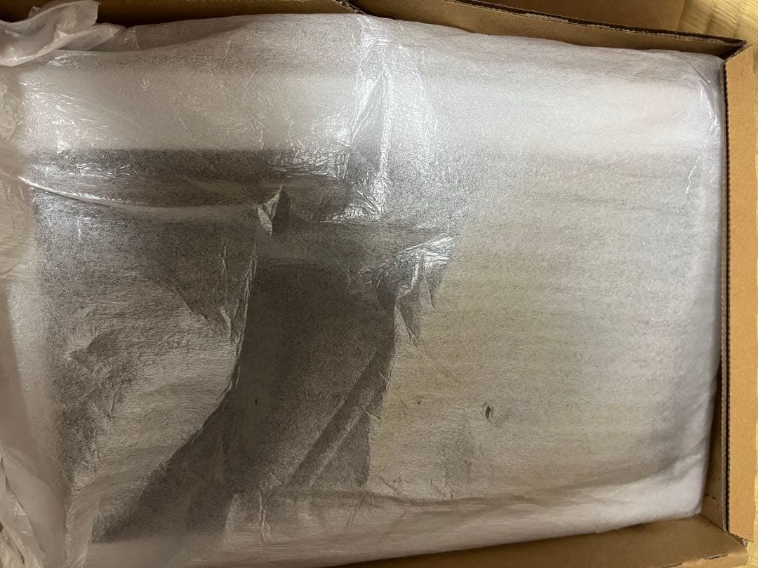 Panasonic プライベート・ビエラ UN-10E8-W 1回のみ使用美品。