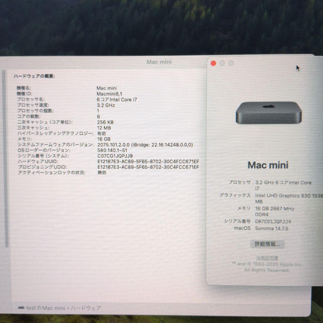 ミニPC Mac mini 2018 i7/16gb/512gb/10GbEthernet