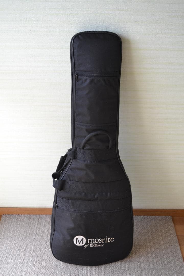 Bacchus バッカス UNIVERSE SERIESテレキャスタータイプ