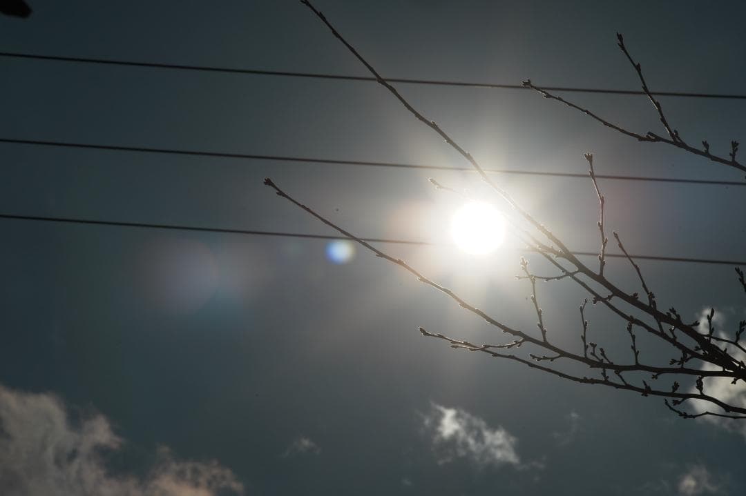 【整備＆テスト済】 Canon New FD 80-200mm f4 L 006