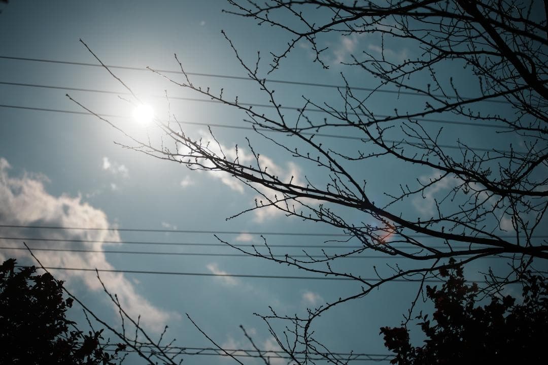 【整備＆テスト済】 Canon New FD 80-200mm f4 L 006