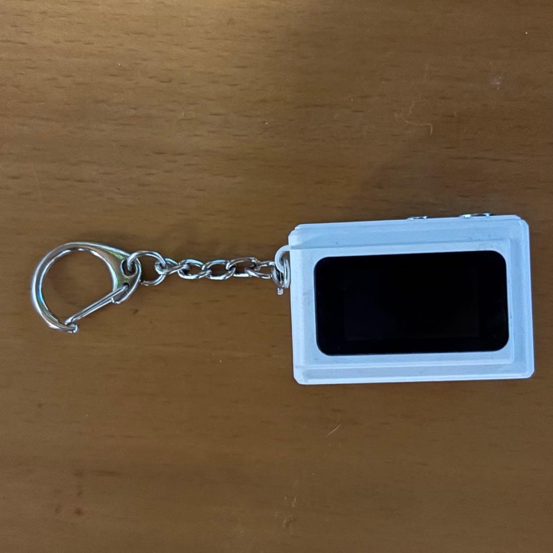 Supreme Digital Camera シュプリーム Keychain