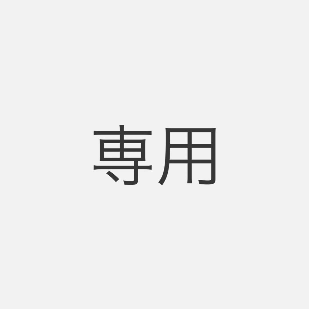 H197_A2シルバーフレーム