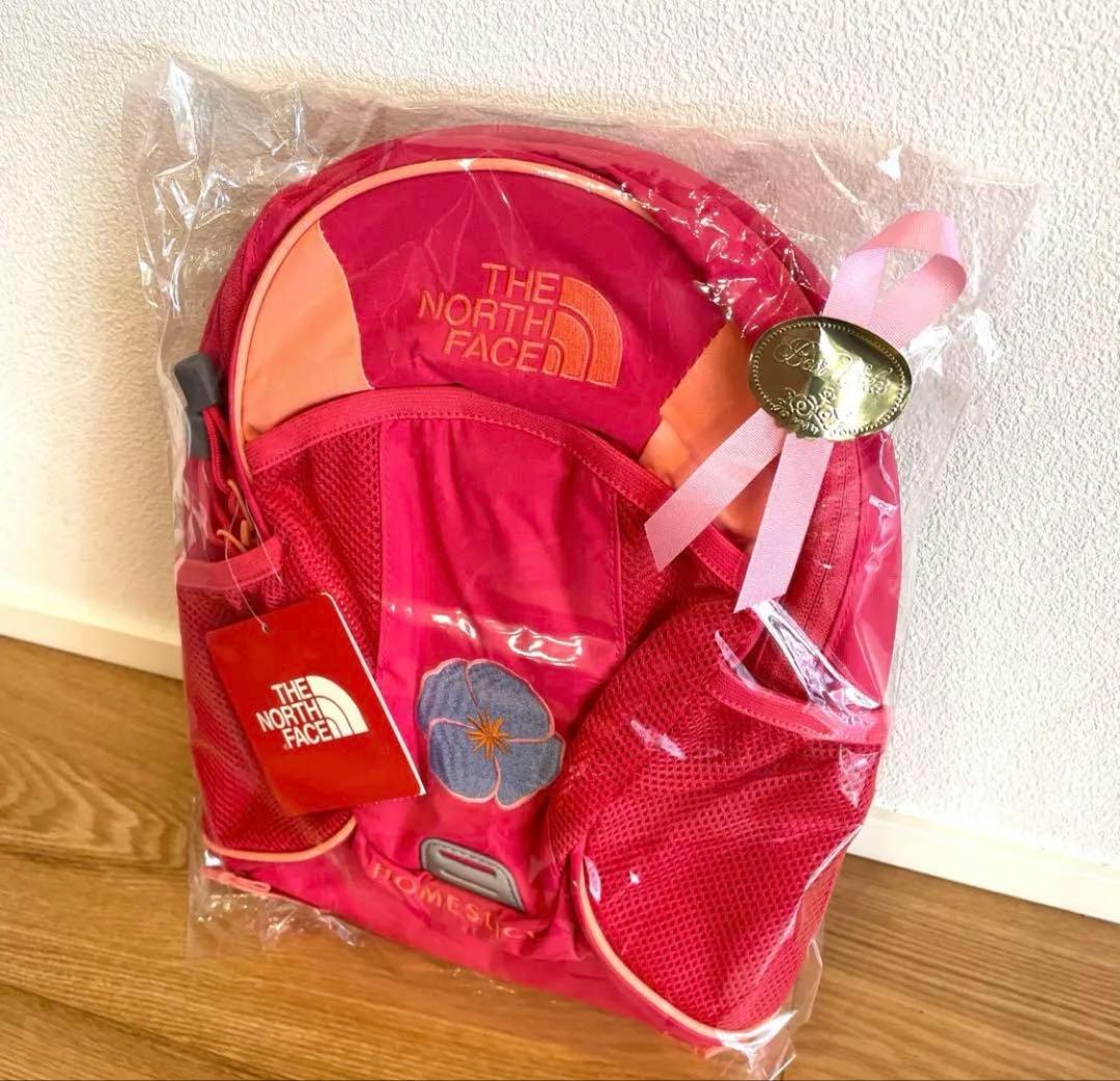 THE NORTH FACE メッシュリュック ピンク　ラズベリーソルベ