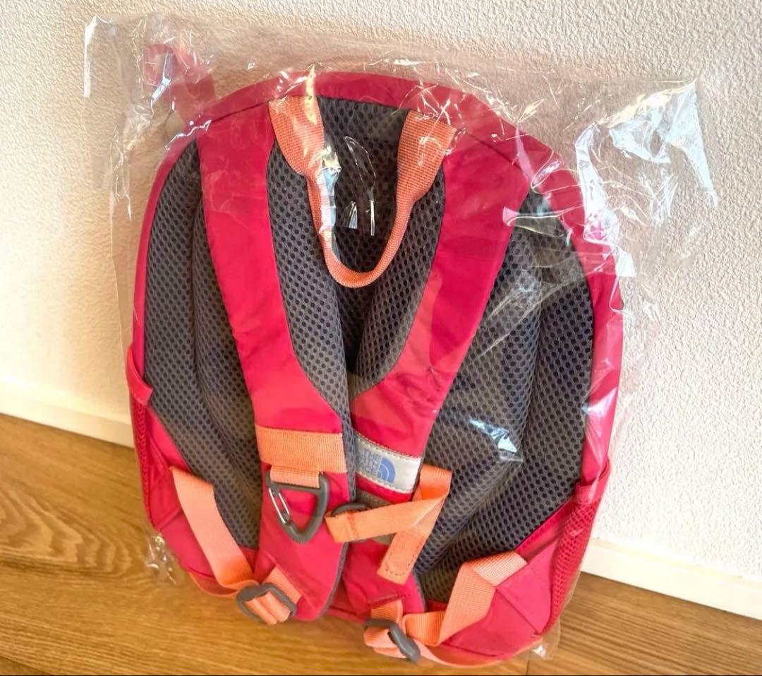 THE NORTH FACE メッシュリュック ピンク　ラズベリーソルベ