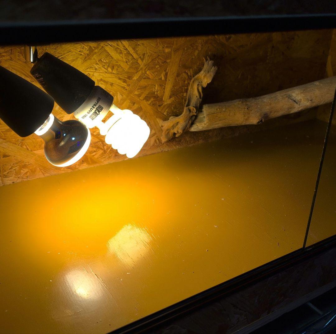 中型爬虫類飼育ケージ ランプステー、登り木付き