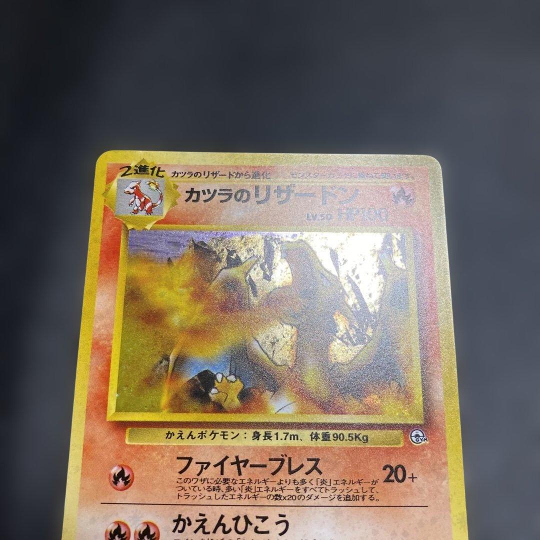 No.1076 カツラのリザードン