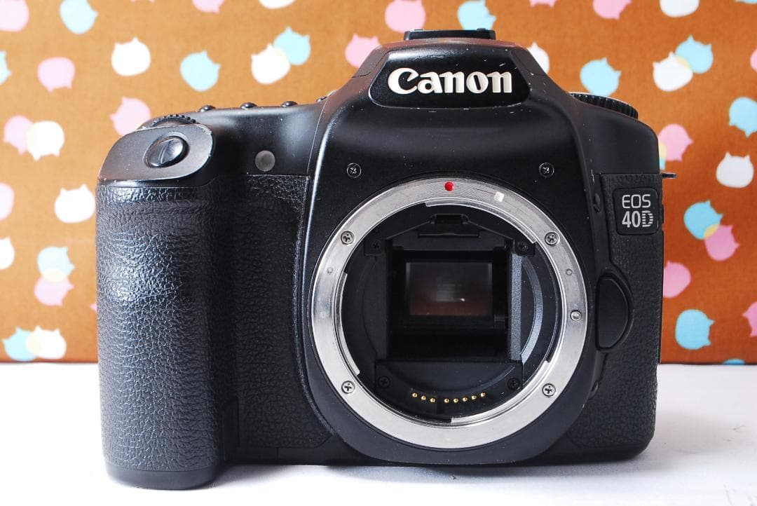 ✨届いてすぐ使える✨初心者オススメ✨Canon 40D レンズセット
