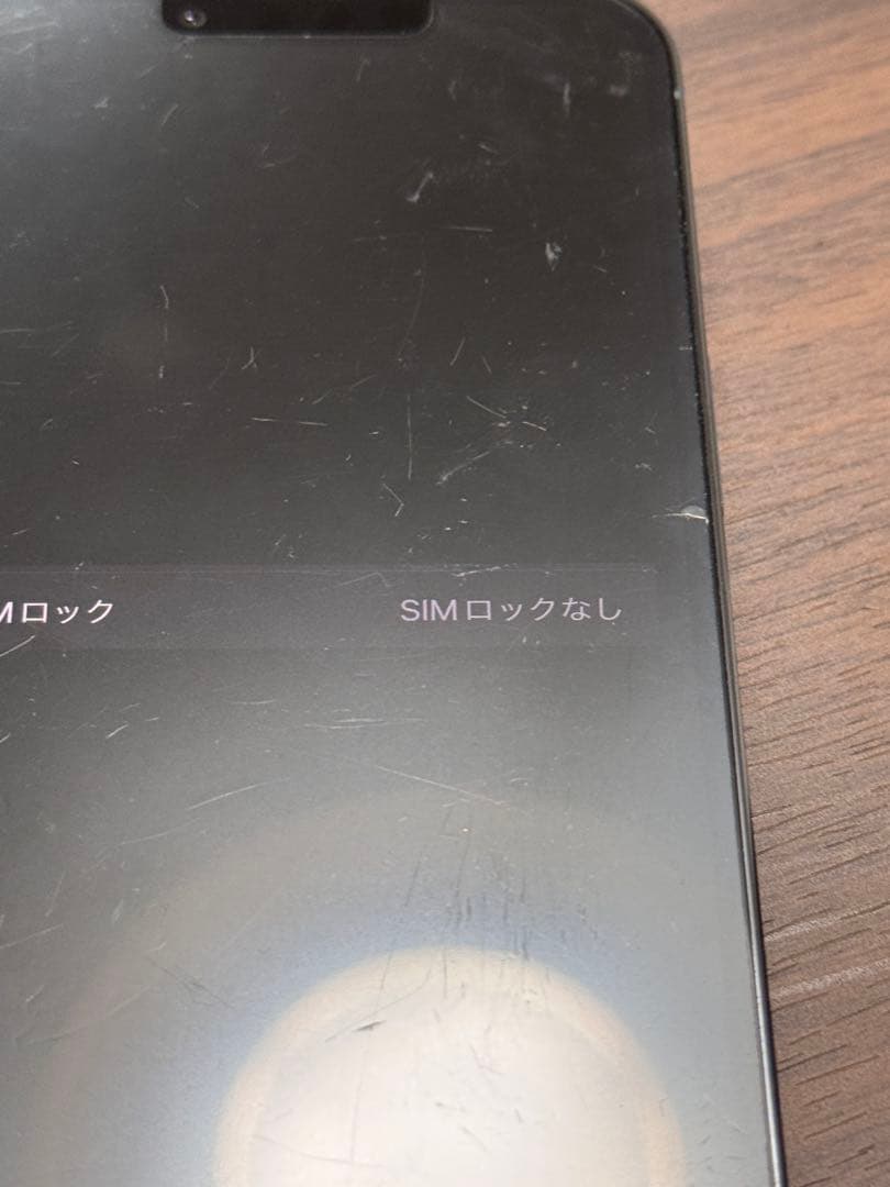 Apple iPhone 13 Pro シエラブルー　256GB 本体