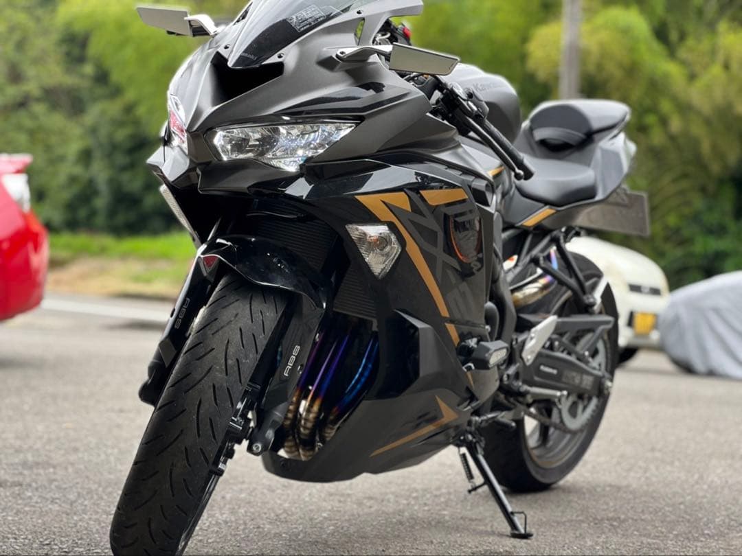 rizomaステルスミラー zx10r用