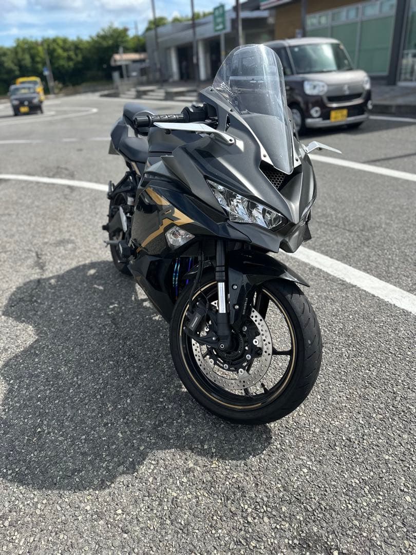 rizomaステルスミラー zx10r用