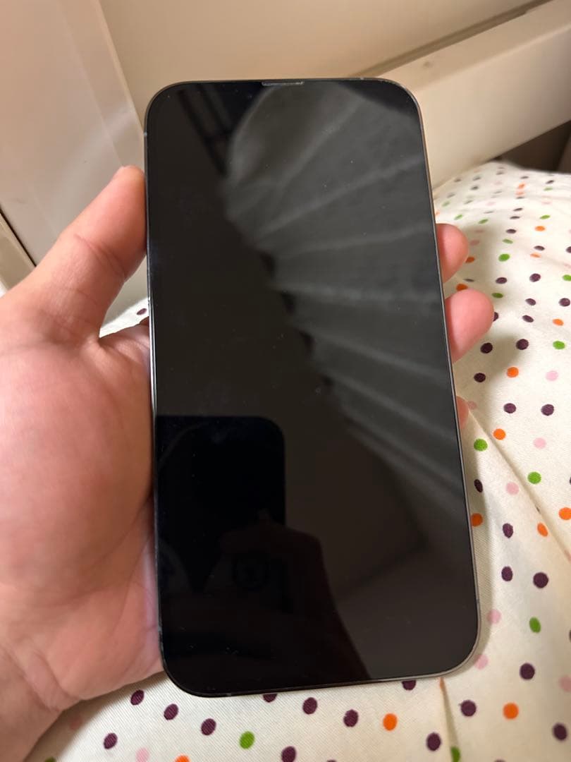 ケースおよびフィルムを使用していたため綺麗な状態かと思います バッテリーは77%