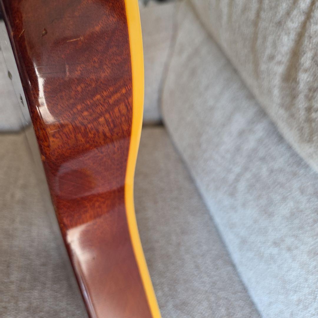 ギター BRUNO GUITARS TN-295