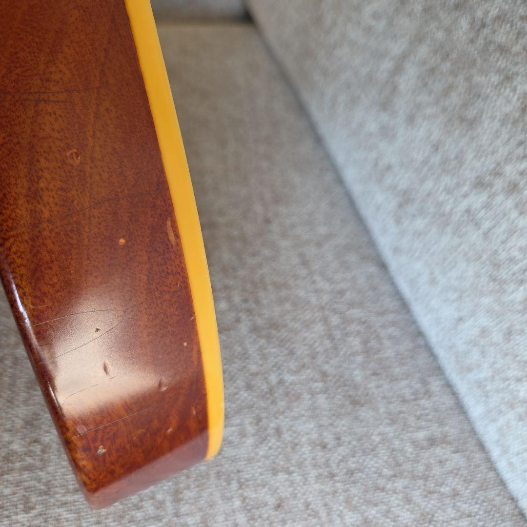 ギター BRUNO GUITARS TN-295