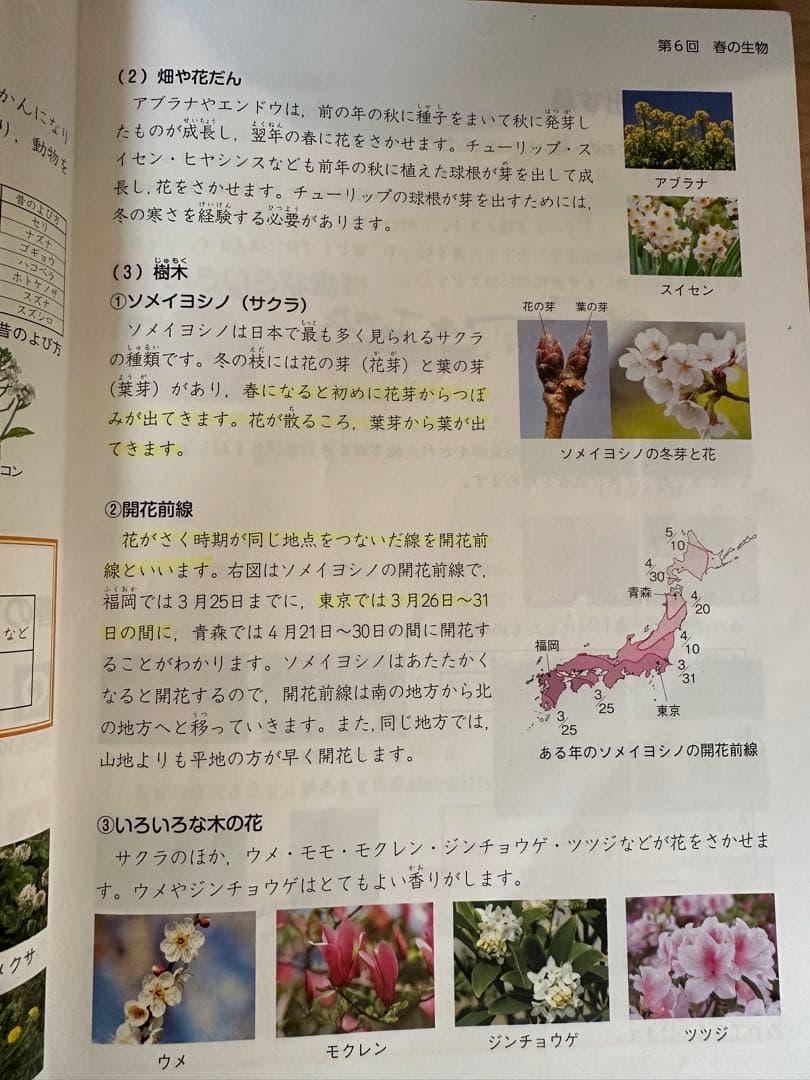 4年 前期（上）　予習シリーズテキスト、四谷大塚　演習問題集　23冊セット