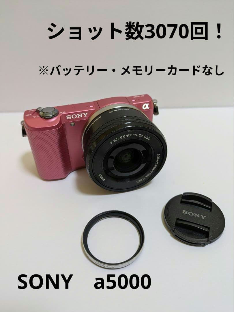 ち*る様 ショット数3070回！　SONY α5000 ILCE-5000 レン