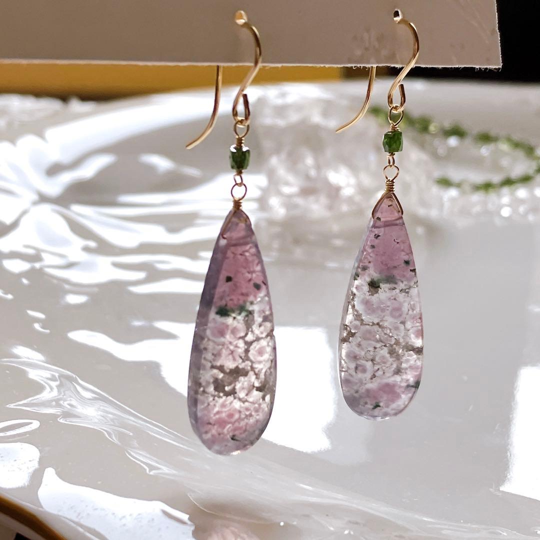 ポメころび◆一点物✧オレンジフォッシルコーラル×レッドスピネルピアス