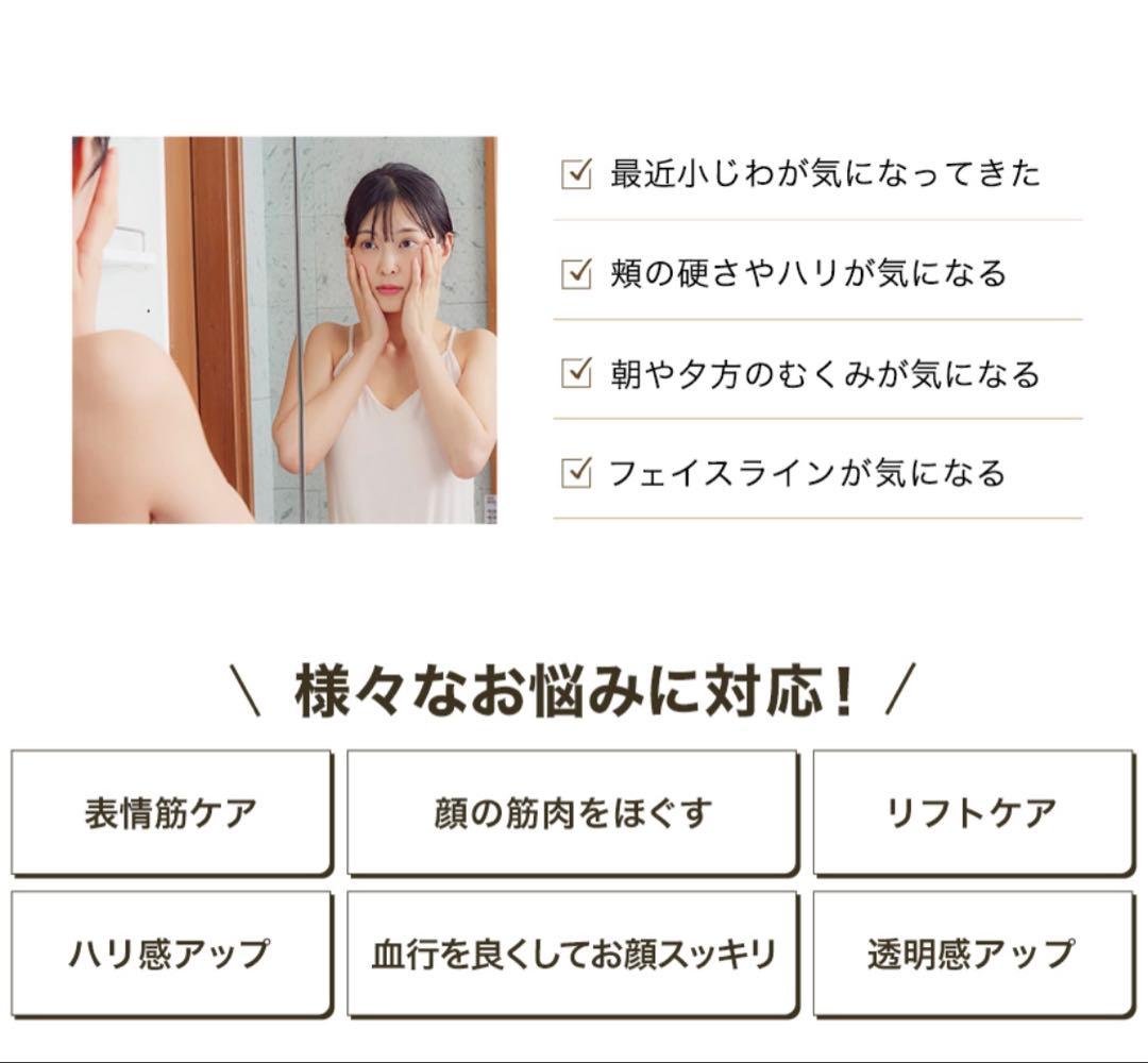 ファイテン　LEDプッシュスティック