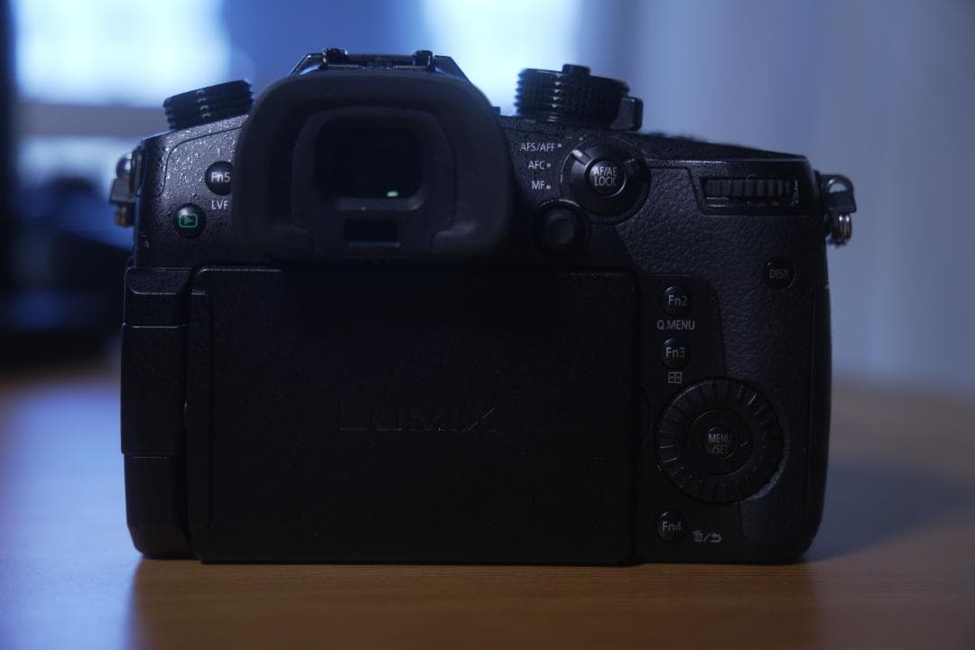 LUMIX GH5 ミラーレス一眼カメラ（V-Log Lアクティベート済）