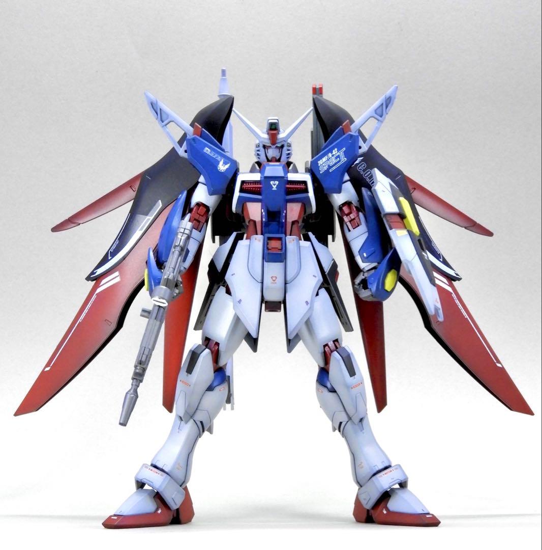 堀*吾様 HG デスティニーガンダム SPEC Ⅱ 全塗装 / ガンプラ 完成品