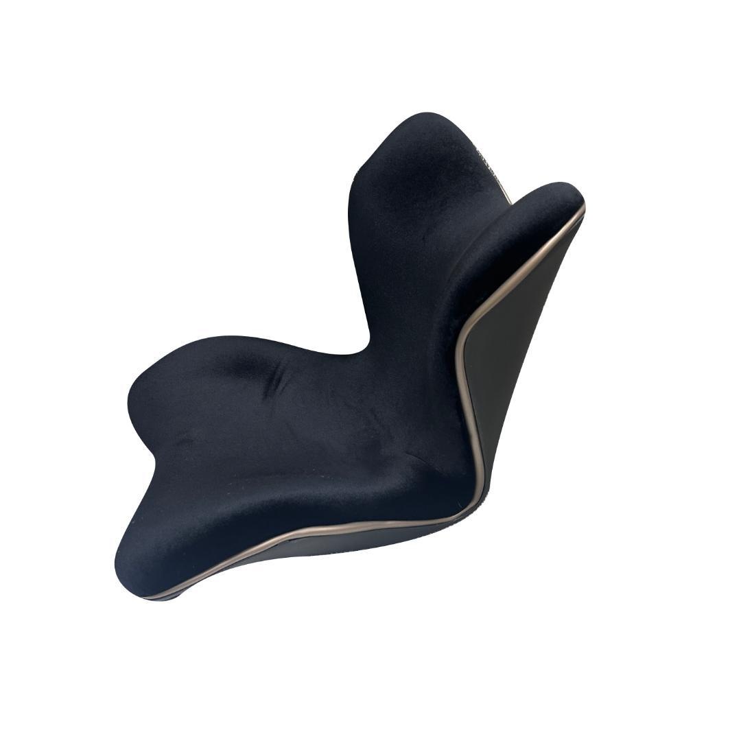 スタイルプレミアムデラックス 「Style PREMIUM DX」