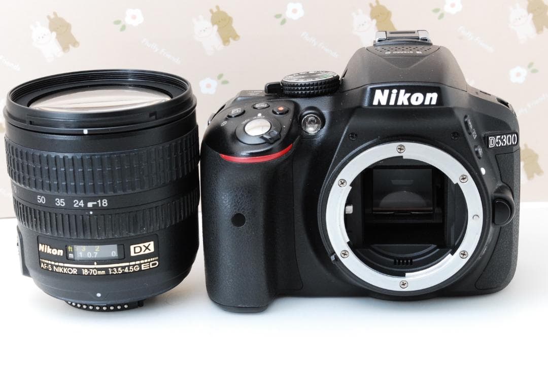 ❤️Wi-Fi搭載❤️Nikon D5300❤️高性能デジタル一眼レフカメラ