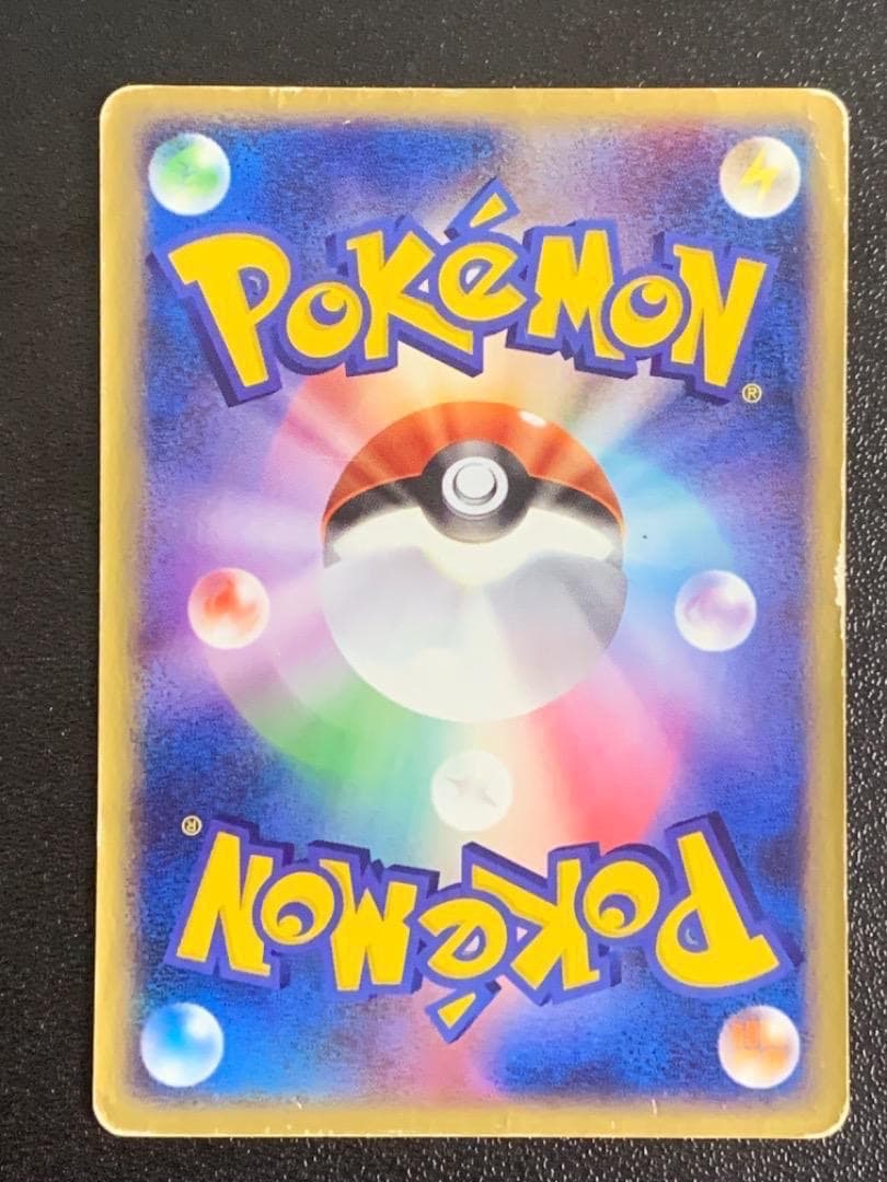 ライコウ　005/009　ポケパーク　プレミアムファイル　ブルーシート　PCG