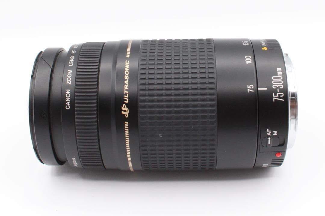 Canon EF 75-300mm F5.6 Ⅱ　定番望遠レンズ　即納OK