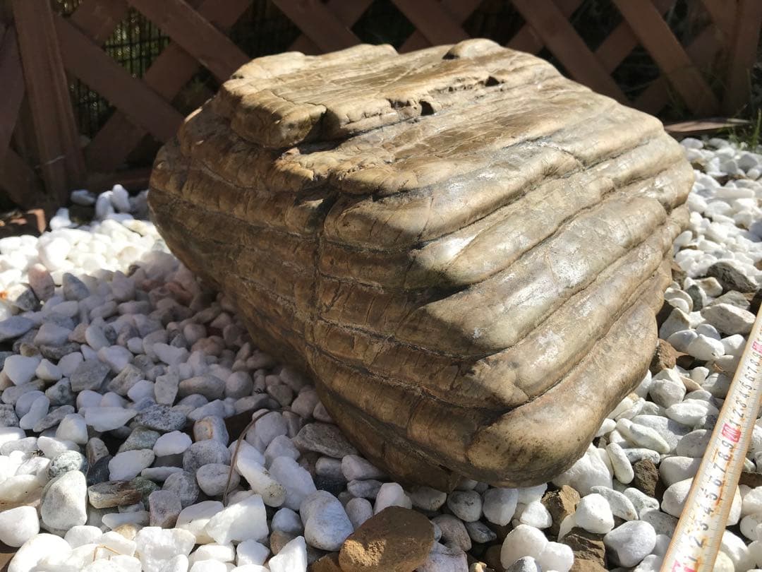 【TOなかい】瀬田川石『虎石』