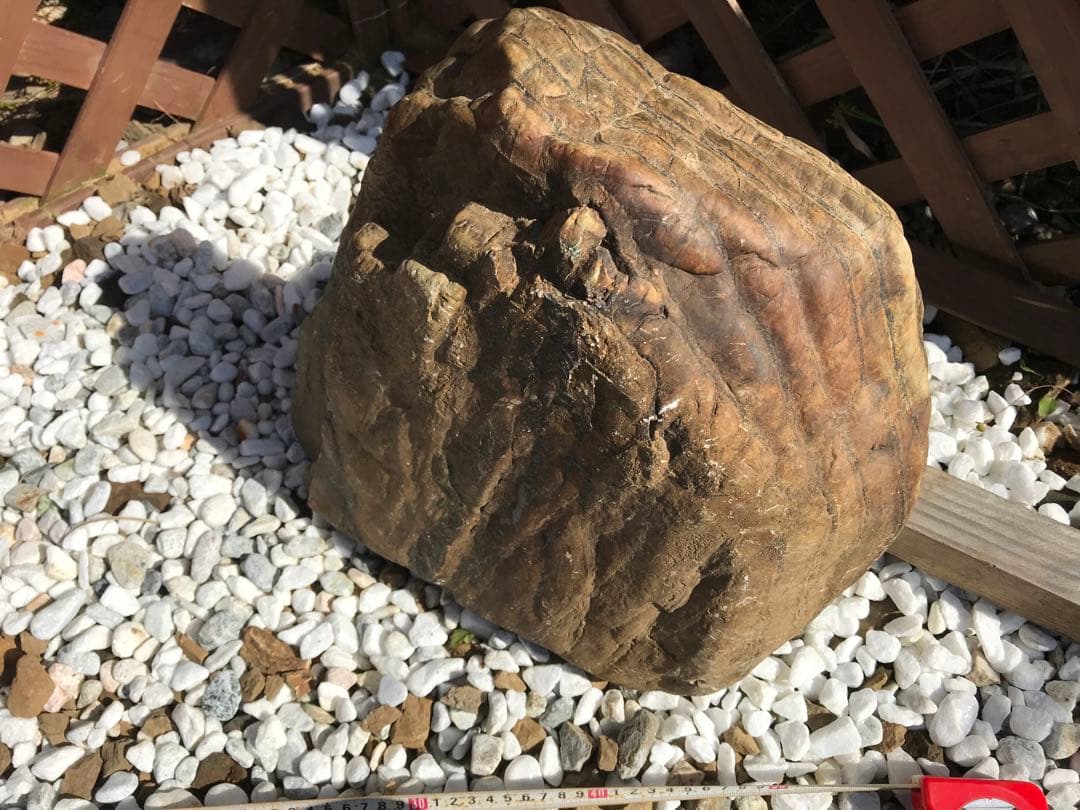 【TOなかい】瀬田川石『虎石』