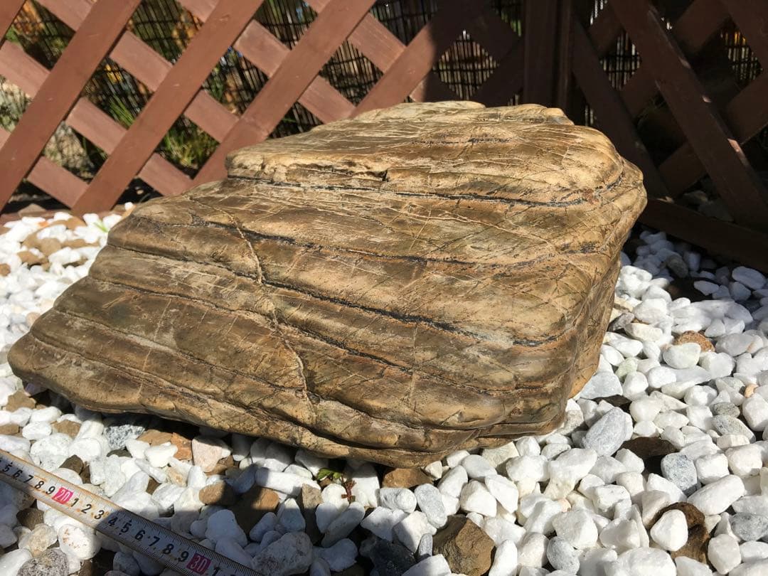 【TOなかい】瀬田川石『虎石』